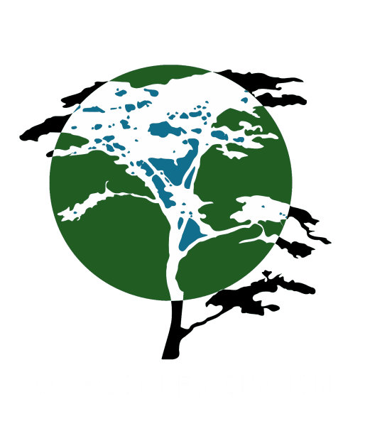 Koa Wood Restoration